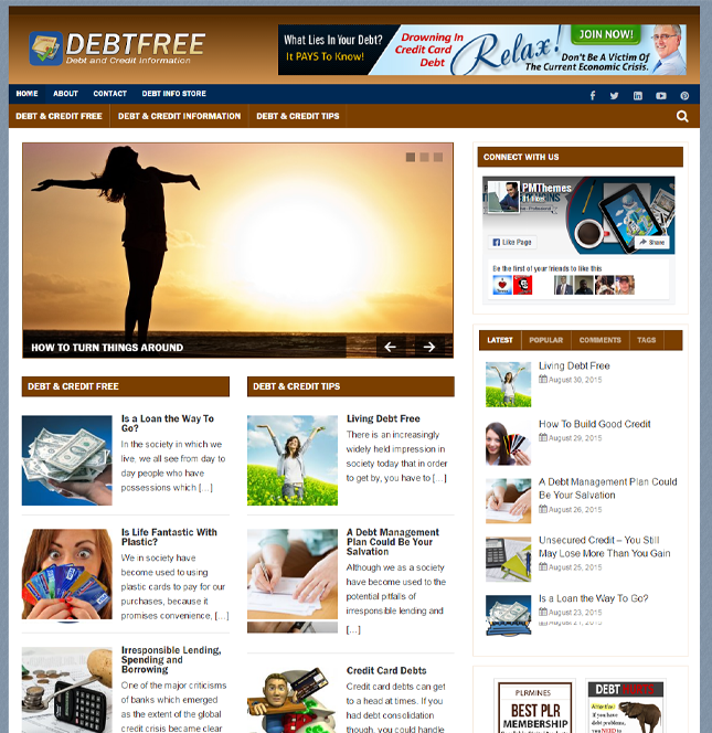 debt niche turnkey blog