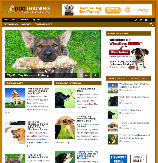 Dog Training PLR Blog