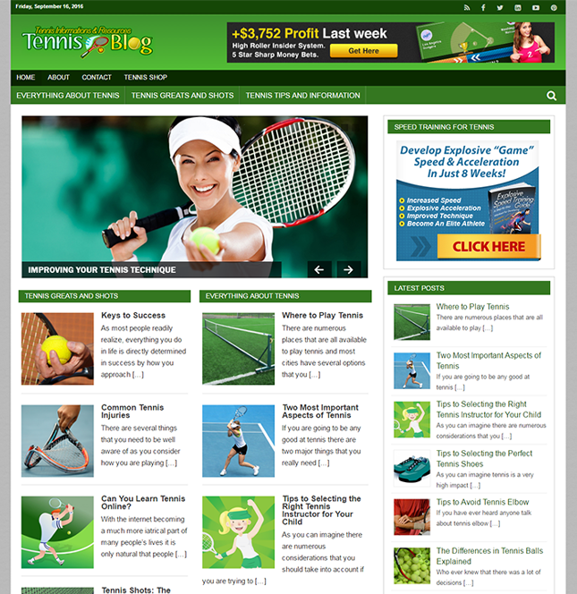 Play Tennis PLR Blog