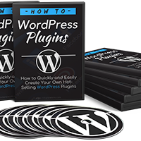 wp plugin outsourcing