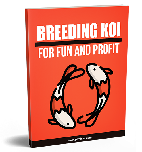 Breeding Koi for Fun and Profit