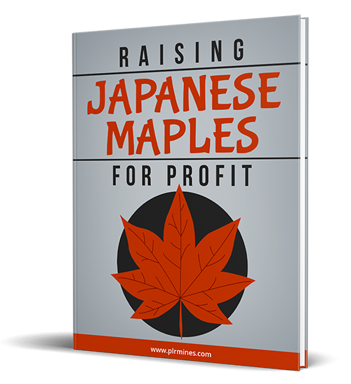 Japanese Maples for Profit
