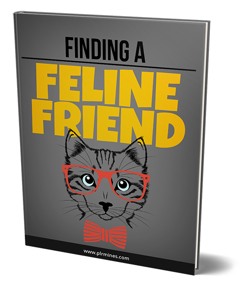Finding a Feline Friend