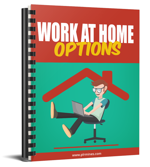 Work at Home Options