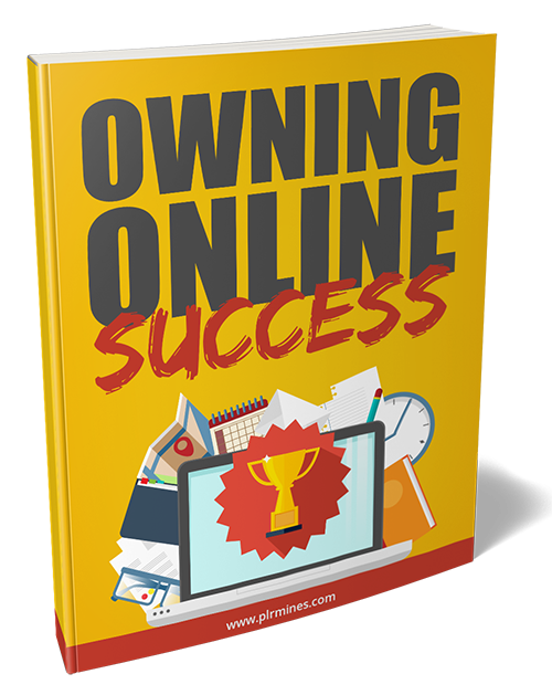 Owning Online Success