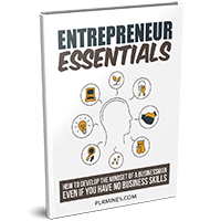 entrepreneur essentials PLR ebook