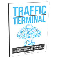 traffic terminal PLR ebook