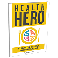 health hero PLR ebook