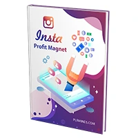 insta profit magnet PLR ebook