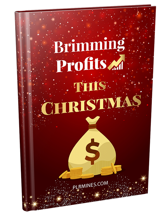 brimming profits christmas PLR ebook