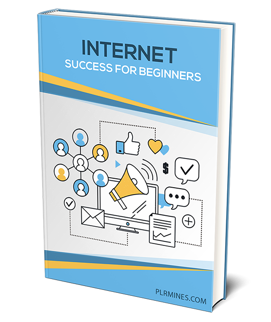 internet success beginners PLR ebook