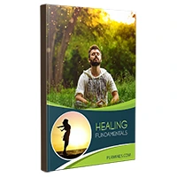 healing fundamentals PLR ebook