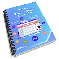 domain name success kit PLR ebook