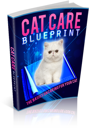 cat care blueprint