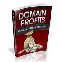 Domain Profits