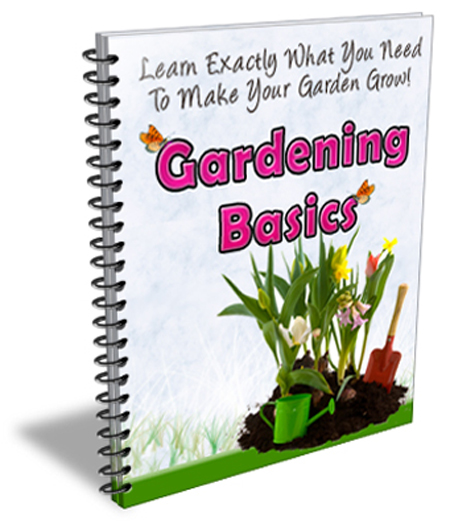 gardeningbasics
