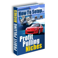 How to Setup Profit Pulling Niches