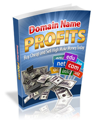 domainnameprofits