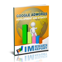 Google Adwords Development and Strategy