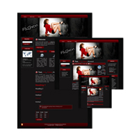 Fashion Theme for Wordpress and Blogger 2