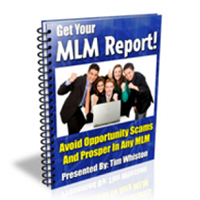 MLM Report