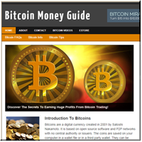 Bitcoin Niche PLR Blog