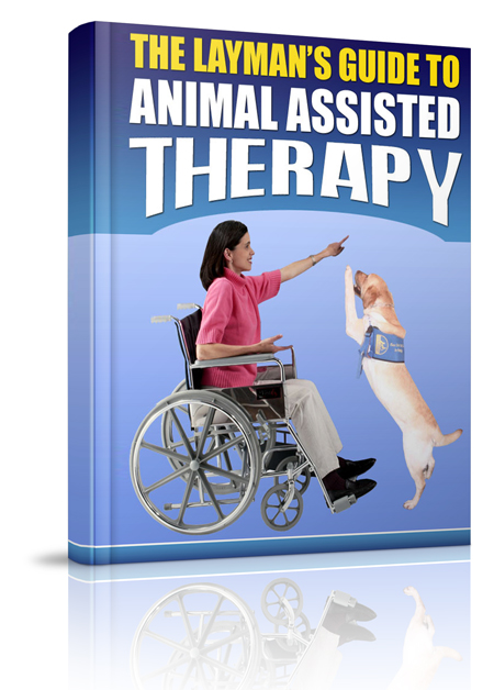 Guide To Animal Assisted Therapy
