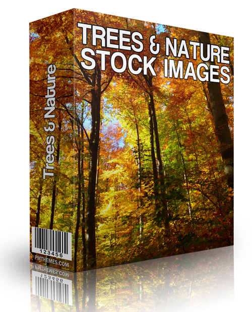 Trees and Nature Stock Images