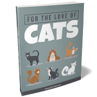 For The Love Of Cats